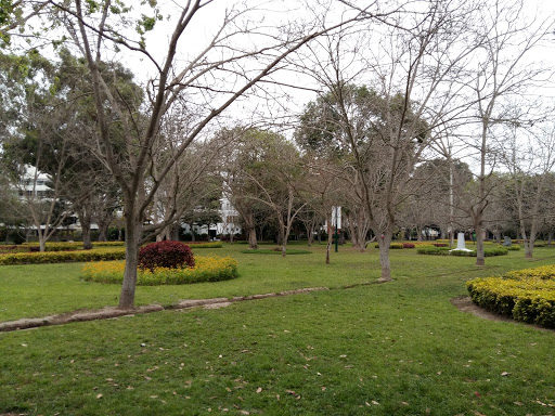 Parque Alayza Grundy (parque Pecanas)