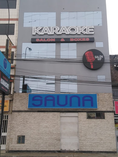 Karaoke Salon Vip & Boxes