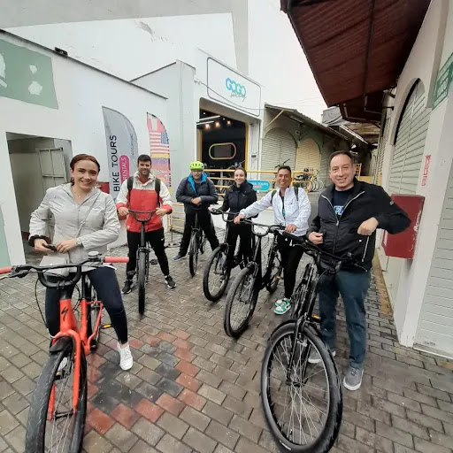 GOGO Biking Rental & Tours