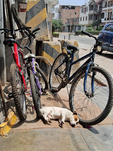 “BiciMax”-Taller de bicicletas