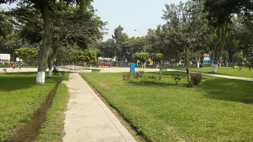 Parque Los Ficus