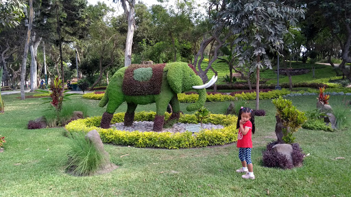 Parque Ecológico Loma Amarilla